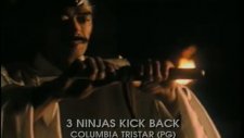 3 ninjas kick back