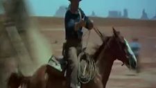 the searchers