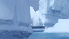farce of the penguins