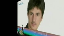 Fevzi Temelli - Yürekler