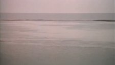 waterland