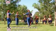 Çeşitli Sanatçılar - Aslan Mustafam
