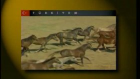 Grup Türkiyem - Türkiyem Grup Türkiyem - Türkiyem