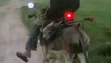 eşeğe modifiye