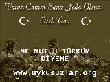 o Şimdi komando