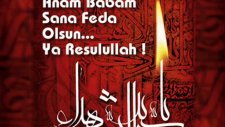 kutlu doğum haftası