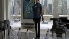 mr poppers penguins fragman