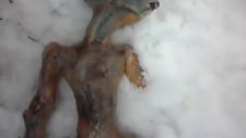 rusya'da uzaylı bulundu.!!