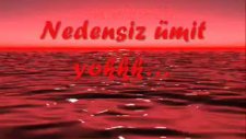 Martılar