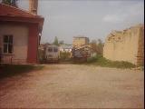 Sarılılı Gakgo