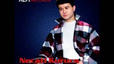 Necati Kuruca Anlayabilseydin 2011