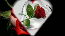 Xlove
