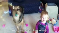 bebek baloncuk köpek komik bebek köpek
