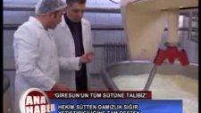 hekim süt hayvancılık desteklerini değerlendirdi