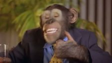 most vertical primate 2