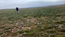 Akören Domalan Mantarı Toplaması