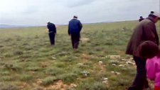 Akören İlçesinde Domalan Mantarı Toplaması