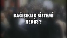 Bağışıklık Sistemi Nedir? Op. Dr. Orhan Altıntaş