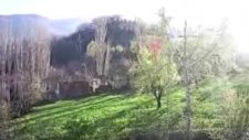 acarlar mahallesı-1-
