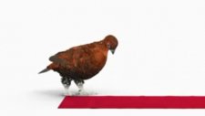 The Famous Grouse/ Red Carpet
