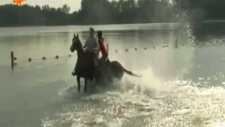 çılgın atlar