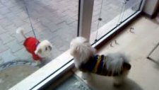 barni ve rodi