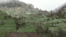 Meşeköy Petran