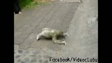 buda ne böyle?