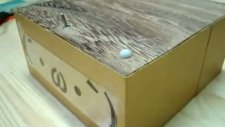 kutunun sabrı taşarsa?