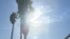 Wiz Khalifa - Roll Up Official Music Video