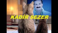 Kadir Sezer-Takvimlerden Haberin Yokmu ?