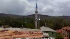 Adem Hoca Sela Veriyor...
