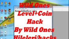 Wild Ones Para Level Hilesi