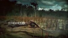 True Blood Opening Credits