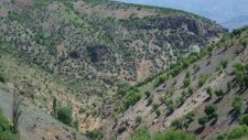 Malatya Pütürge Söğütlü Köyü