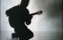 Sting Fragile