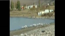 Fırat Çakan Bayize