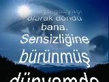 Seni Ben Kimseye Veremem...