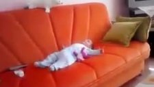 İşte Laz Uşağı