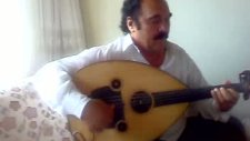 udi celal çalı