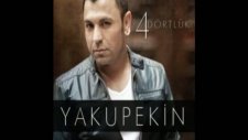 Yakup Ekin Küpe - 2011