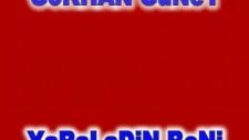 Gökhan Güney Yaraladın Beni