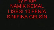 Dilek Ağacı