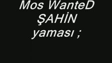 Most Wanted