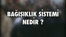 Bağışıklık Sistemi Nedir?
