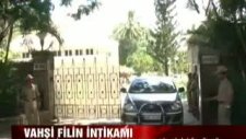 vahşi filin intikamıhindistan