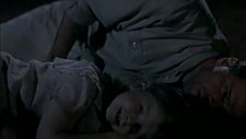 the stars fell on henrietta