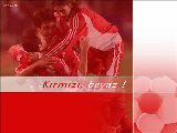Türkiyeye Euro 2008 İçin Mükemmel Slayt