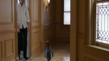 mrpopper's penguins kısa klip 3