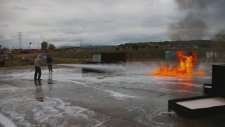 Rotfire Modelleri